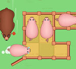 Schiebepuzzle: Schweinchen bewegen